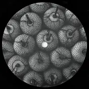 Forest Drive West - Parallel Space EP