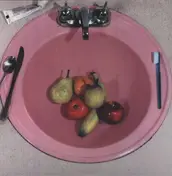 FOREST FIRE - Screens