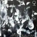 CD - Forest - Neutral Point