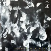 forest - Neutral Point