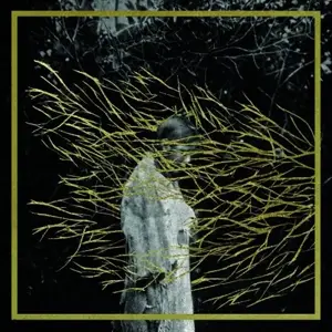 Forest Swords - Emgravings