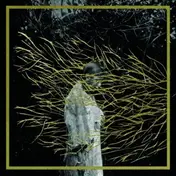 Forest Swords - Emgravings