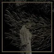 Forest Swords