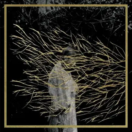 FOREST SWORDS - Engravings