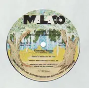 12inch Vinyl Single - Formula Five - Cleaning House