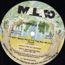 12inch Vinyl Single - Formula V - I Ain't Never Gonna Let You See Me Cry