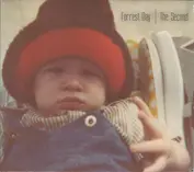 Forrest Day's Playground