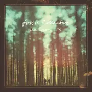LP - Fossil Collective - Tell Where I Lie - Numbered