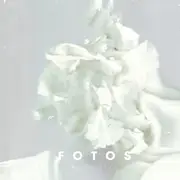 LP - Fotos - Porzellan