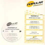 Fourteen 14 - Another Crack In My Heart