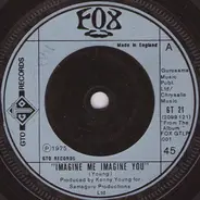 Fox - Imagine Me Imagine You