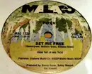 12inch Vinyl Single - Foxx - Set Me Free