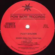 Foxy Brown - Sorry (Baby Can I Hold You)