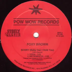 Foxy Brown - Sorry (Baby Can I Hold You)