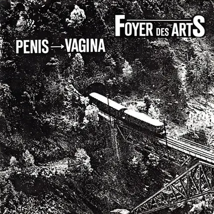 Foyer Des Arts - Penis - Vagina