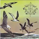 CD - Flotation Toy Warning - Bluffer's Guide To The Flight Deck