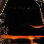 CD - Flower - Hologram Sky