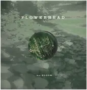 Flowerhead