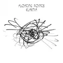 CD - floating points - Elaenia