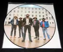 Picture LP - Flophouse String Band - In The Jailhouse, Now
