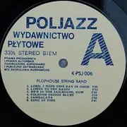 LP - Flophouse String Band - In The Jailhouse, Now