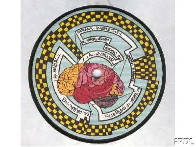 Florence - Intersection
