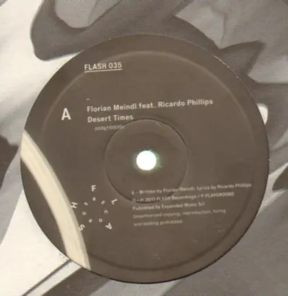 Florian Meindl - Desert Times feat Ricardo Phillps