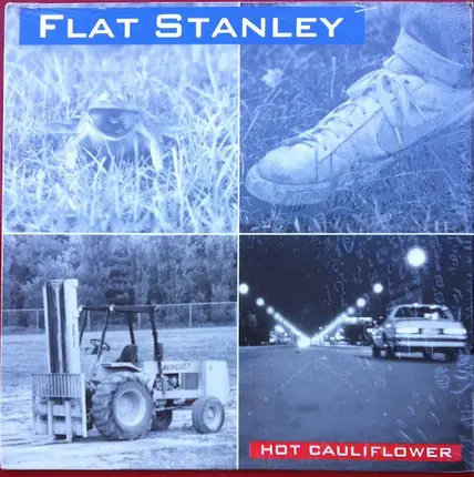 Flat Stanley - Hot Cauliflower