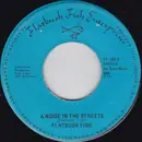 7inch Vinyl Single - Flatbush Fish & The Guppies - A Noise In The Streets / I'd Become A Man