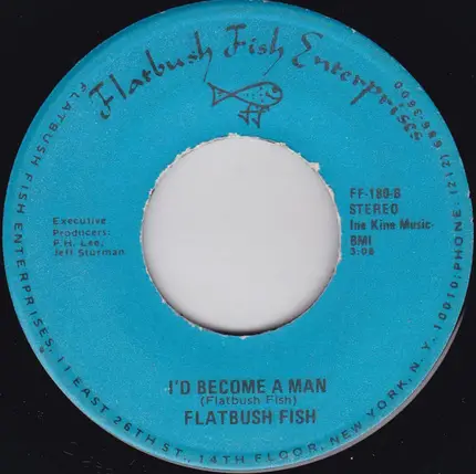 Flatbush Fish & The Guppies - A Noise In The Streets / I'd Become A Man