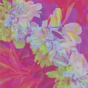 Abandon Everything Recors / Cargo