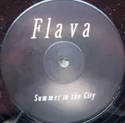12inch Vinyl Single - Flava - Summer In The City / Street Flava