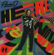 Double LP - Flava D - Here & Now