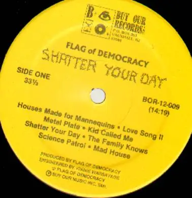 Flag Of Democracy - Shatter Your Day