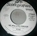 7inch Vinyl Single - Flag - We Will Live Forever