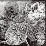 7inch Vinyl Single - Flagitious Idiosyncrasy In The Dilapidation / Insect Warfare - Flagitious Idiosyncrasy In The Dilapidation / Insect Warfare - + booklet