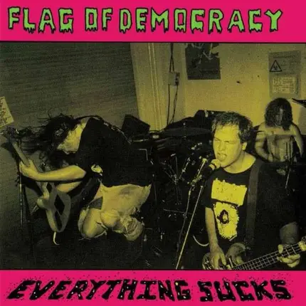 Flag Of Democracy - Everything Sucks