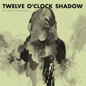 fLako - Twelve O'Clock Shadow