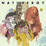 fLako - Natureboy
