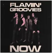 Flamin' Groovies, The Flamin' Groovies