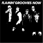 LP - Flamin' Groovies, The Flamin' Groovies - Now