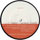 12inch Vinyl Single - Flamin' Trees - The World Is Yours