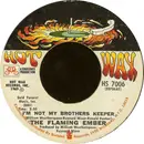 7inch Vinyl Single - Flaming Ember - I'm Not My Brothers Keeper / Deserted Village