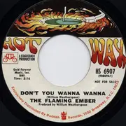 7inch Vinyl Single - Flaming Ember - Shades Of Green