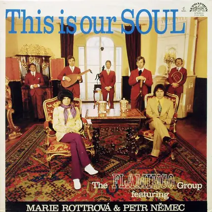 Flamingo Featuring Marie Rottrová & Petr Němec - This Is Our Soul