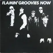 Flamin' Groovies - Now