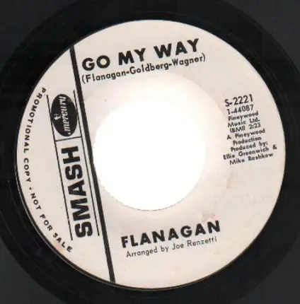 Flanagan - Spin Spin
