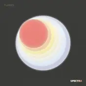 The Flares - Spectra