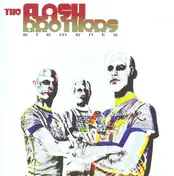flash brothers - Elements 03
