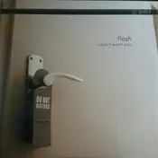 Flash - I Don't Want You